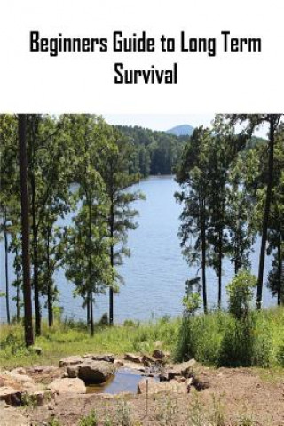 Kniha Beginners Guide to Long Term Survival: Beginners Guide to Long Term Survival: Survival Mindset/Inventory Checklist MR Daniel Leo Naylor Jr