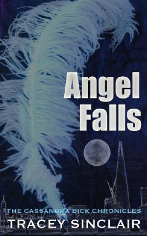 Knjiga Angel Falls Tracey Sinclair