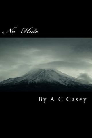 Kniha No Hate: Surviving a Bully A C Casey