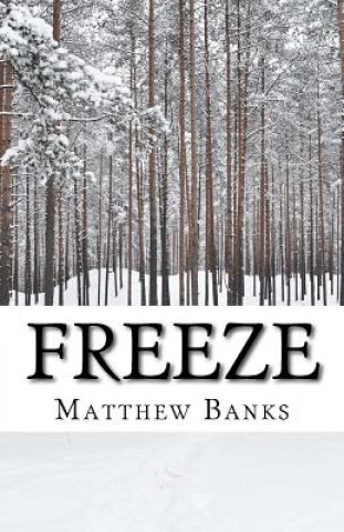 Knjiga Freeze Matthew J Banks