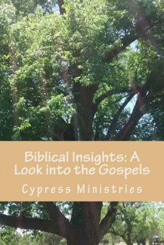 Kniha Biblical Insights: A Look into the Gospels: Basic study notes for better understanding Cypress Ministries