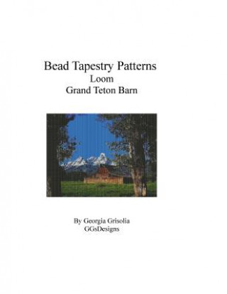 Kniha Bead Tapestry Patterns Loom Grand Teton Barn Georgia Grisolia