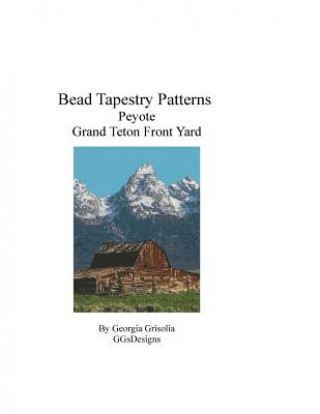 Knjiga Bead Tapestry Patterns Peyote Grand Teton Front Yard Georgia Grisolia