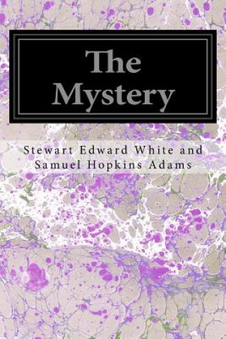 Kniha The Mystery Stewart Edward Whi Samuel Hopkins Adams