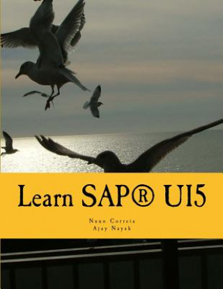 Könyv Learn SAPUI5: The new enterprise Javascript framework with examples Nuno Correia