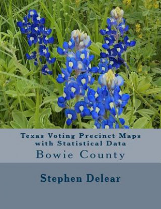 Carte Texas Voting Precinct Maps with Statistical Data: Bowie County Stephen D Delear