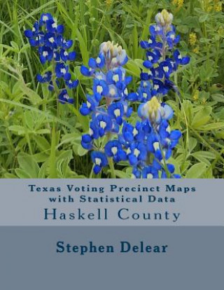 Kniha Texas Voting Precinct Maps with Statistical Data: Haskell County Stephen D Delear