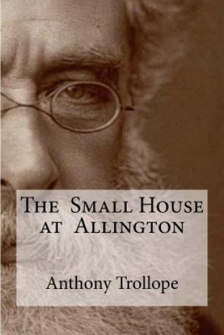 Könyv The Small House at Allington Anthony Trollope