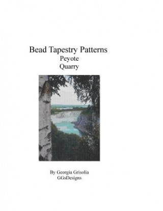 Book Bead Tapestry Patterns Peyote Quarry Georgia Grisolia