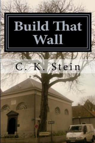 Książka Build That Wall C K Stein