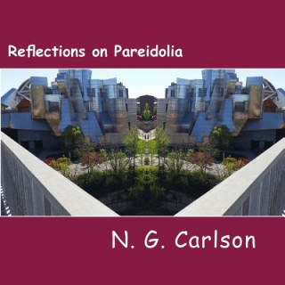 Carte Reflections on Pareidolia: Mirrored Images at the University of Minnesota MR N G Carlson
