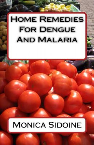 Книга Home Remedies For Dengue And Malaria Monica Sidoine