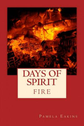Kniha Days of Spirit Pamela Eakins