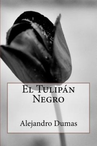 Könyv El Tulipán Negro Alejandro Dumas