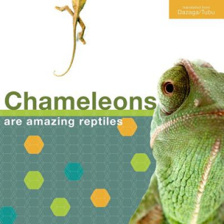 Book Chameleon - English Mohamed Abakar