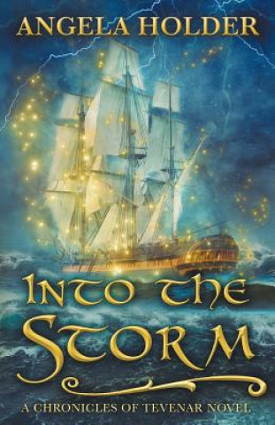 Book Into the Storm Angela Holder
