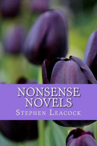 Kniha Nonsense Novels Stephen Leacock