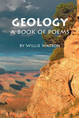 Kniha Geology Willie L Watson