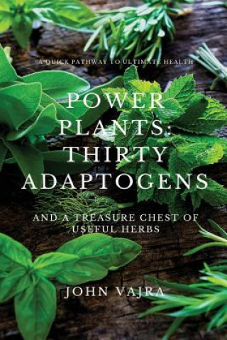 Книга Power Plants: Thirty Adaptogens: And a Treasure Chest of Useful Herbs John Vajra