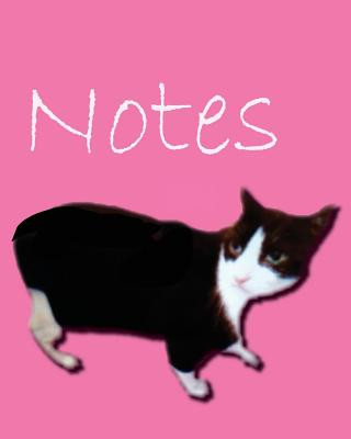 Knjiga Cat Notes Rita Ferdinando