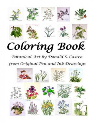 Kniha Botanical Art Coloring Book: Fine Art from Original Pen & Ink Drawings Donald S Castro