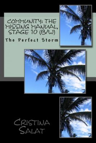 Kniha Community: The Missing Manual, Stage 10 (b/w): The Perfect Storm Cristina Salat