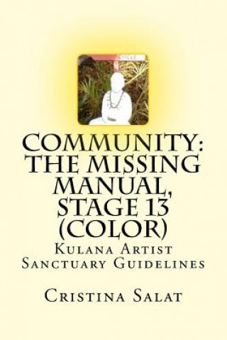 Könyv Community: The Missing Manual, Stage 13 (color): Kulana Artist Sanctuary Guidelines Cristina Salat