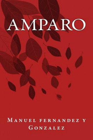 Buch Amparo Manuel Fernandez Y Gonzalez