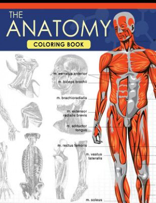 Kniha The Anatomy Coloring Book: A Complete Study Guide (9th Edition) Dr Jessica C Flynn