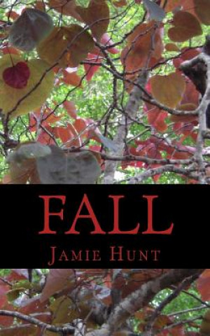 Buch Fall Jamie Hunt