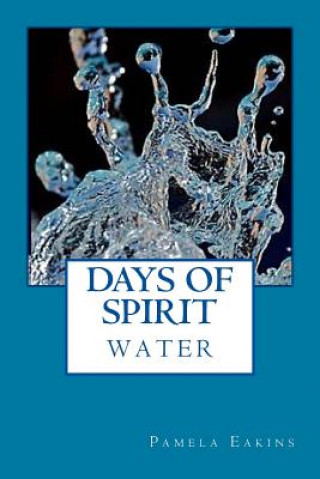 Kniha Days of Spirit Pamela Eakins