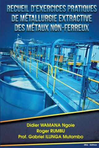 Könyv Recueil d exercices pratiques de metallurgie extractive des metaux non-ferreux Roger Rumbu