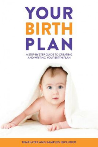 Knjiga Your Birth Plan: A Step by Step Guide to Creating and Writing Your Birth Plan Vanessa J Merten