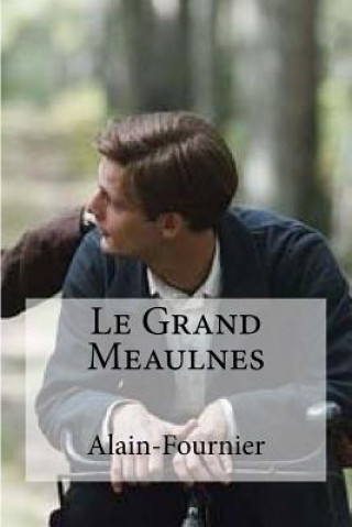 Buch Le Grand Meaulnes Alain-Fournier