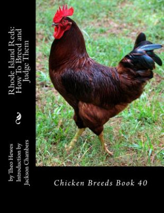 Carte Rhode Island Reds: How To Breed and Judge Them: Chicken Breeds Book 40 Theo Hewes