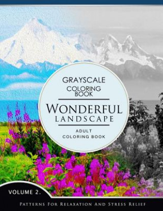 Könyv Wonderful Landscape Volume 2: Grayscale coloring books for adults Relaxation (Adult Coloring Books Series, grayscale fantasy coloring books) Grayscale Fantasy Publishing