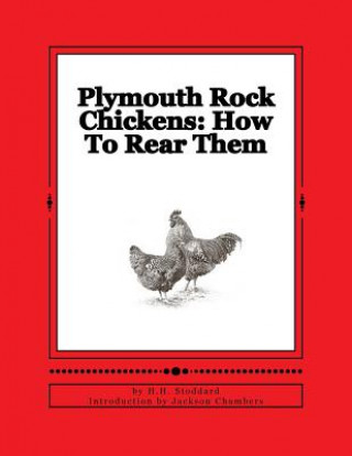 Könyv Plymouth Rock Chickens: How To Rear Them: Chicken Breeds Book 45 H H Stoddard