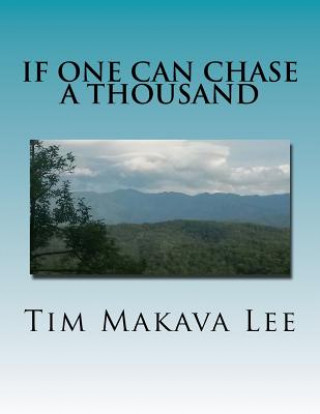 Boek if one can chase a thousand Tim Makava Lee