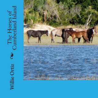 Carte The Horses of Cumberland Island MR Willie Ortiz