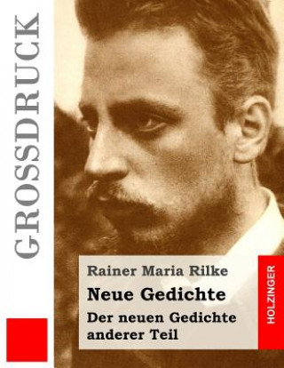 Kniha Neue Gedichte / Der neuen Gedichte anderer Teil Rainer Maria Rilke