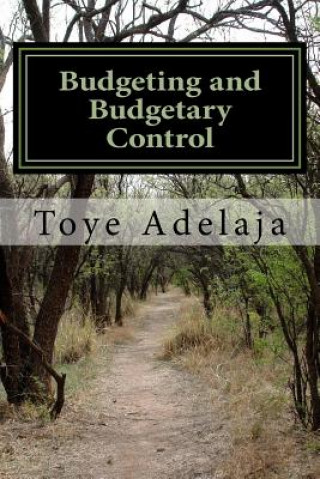 Könyv Budgeting and Budgetary Control Toye Adelaja