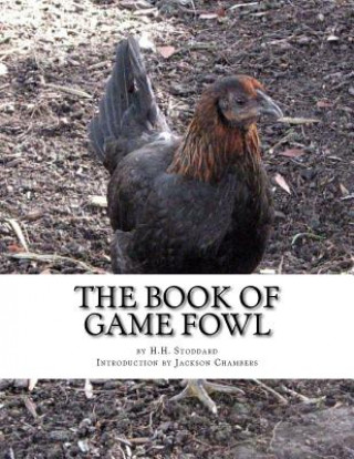 Könyv The Book of Game Fowl: Chicken Breeds Book 47 H H Stoddard