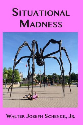 Kniha Situational Madness Walter Joseph Schenck Jr