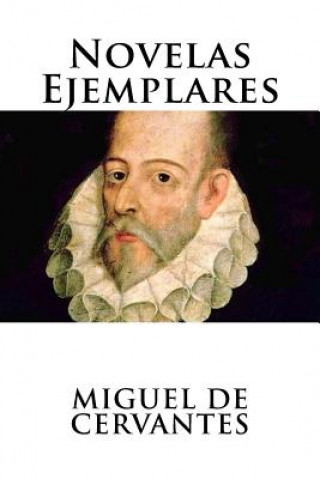 Książka Novelas Ejemplares Miguel De Cervantes