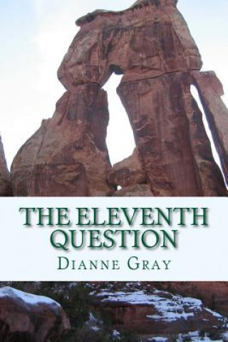 Buch The Eleventh Question MS Dianne Gray