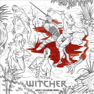 Kniha Witcher Adult Coloring Book CD Projekt Red