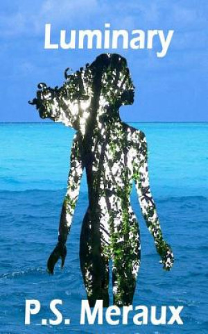 Knjiga Luminary P S Meraux