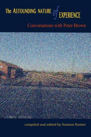 Könyv The Astounding Nature of Experience: Conversations with Peter Brown 2010 - 2013 Stanton Hunter