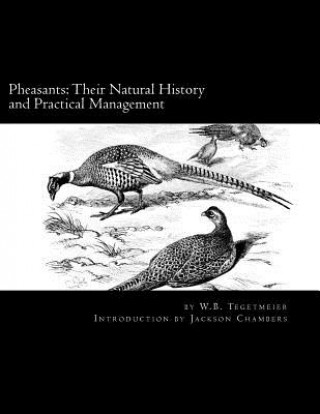 Könyv Pheasants: Their Natural History and Practical Management: Raising Pheasants Book 3 W B Tegetmeier