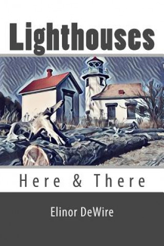 Knjiga Lighthouses: Here & There Elinor DeWire